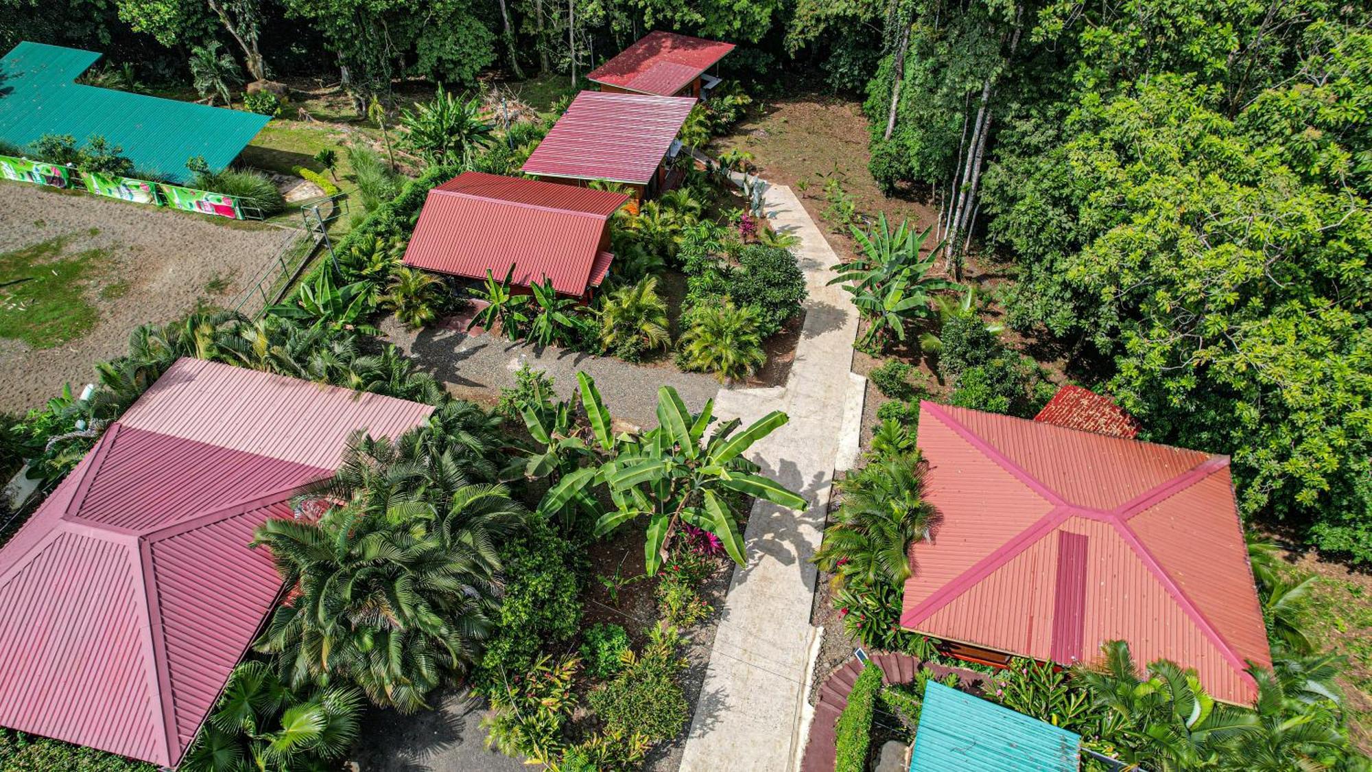 Bungalows Las Iguanas Arenal Volcano La Fortuna Exterior photo