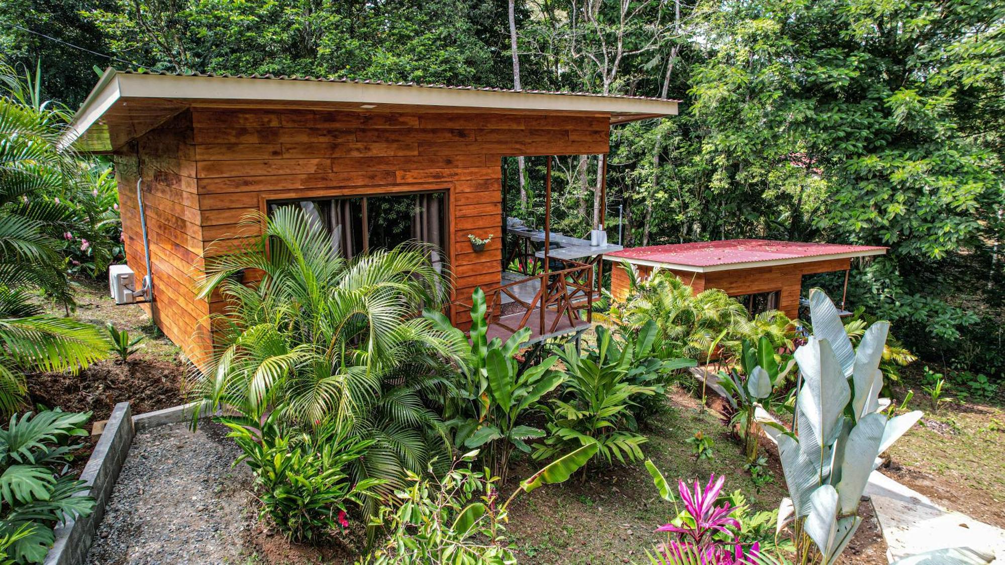 Bungalows Las Iguanas Arenal Volcano La Fortuna Exterior photo